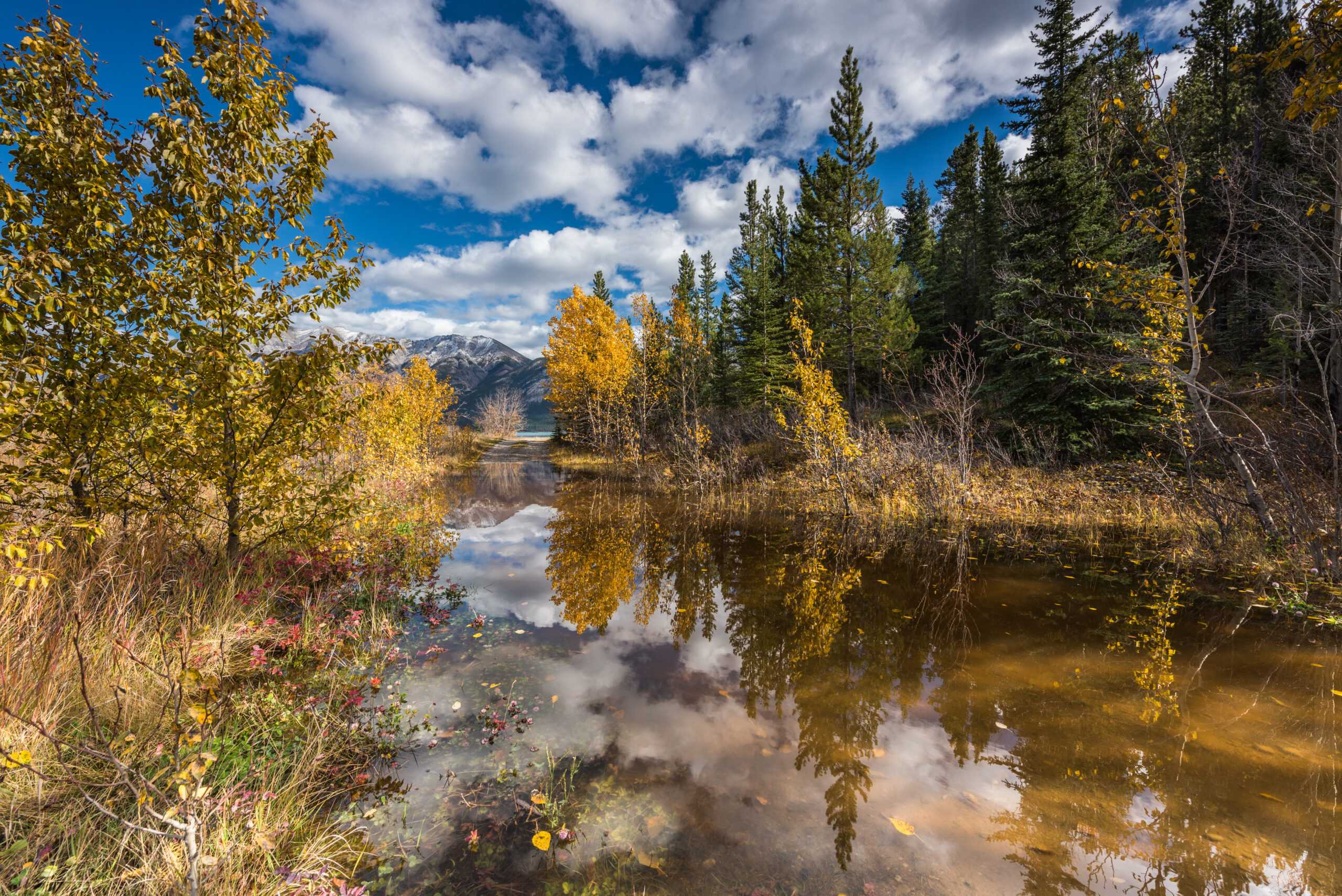 A photo of Abraham Lake in Northern Saskatchewan in the fall, with mountains visible in the distance.