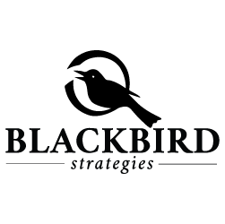 Blackbird Strategies